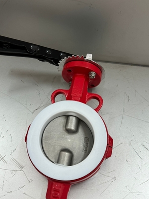 PFA wyłożony i PTFE wyłożony zawór masłowy BFV Flanged Typ Wafer Butterfly zawory Pneumatic On Off zawór
